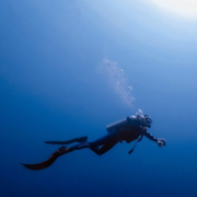 Scuba diver surrounded by fish