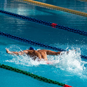 Swimmers in a freestyle race
