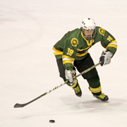 Ice hockey players practising