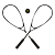 Wiltshire Racket Tech Logo