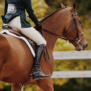 A rider waiting to ride