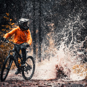 Mountain biker in a forest