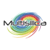 Multisilica Logo
